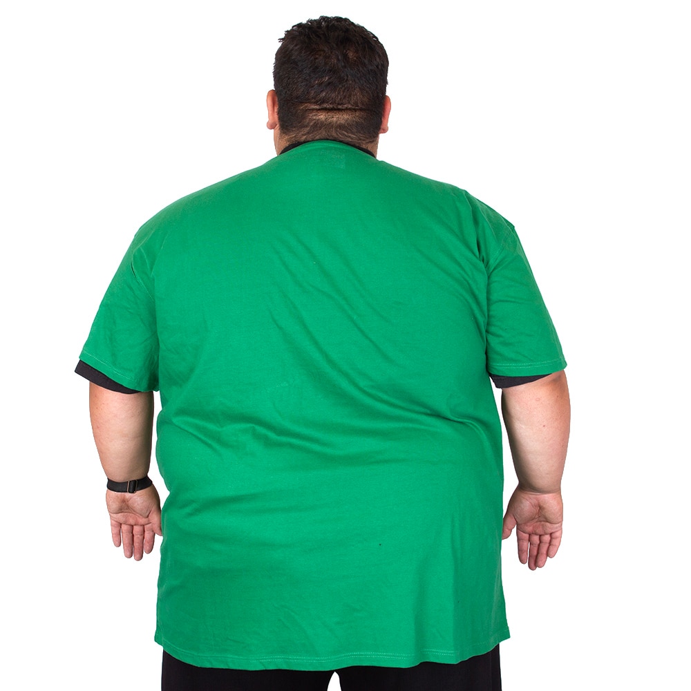 Arched Oregon, Green, Crew Neck, Cotton, Men, Unisex, Eternal Fortune Fashion, T-Shirt, 964999